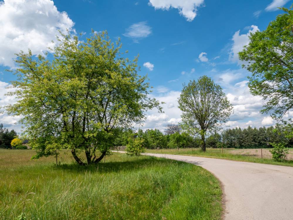 Szlak Niedźwiedzi&oacute;wka