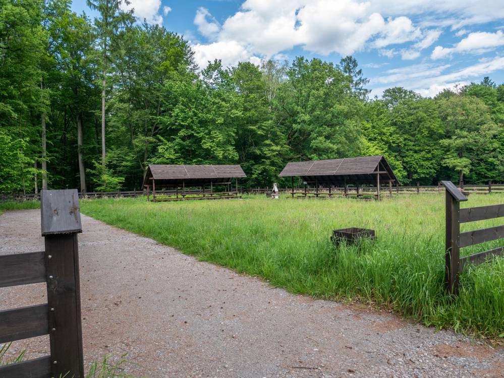 Szlak Niedźwiedzi&oacute;wka