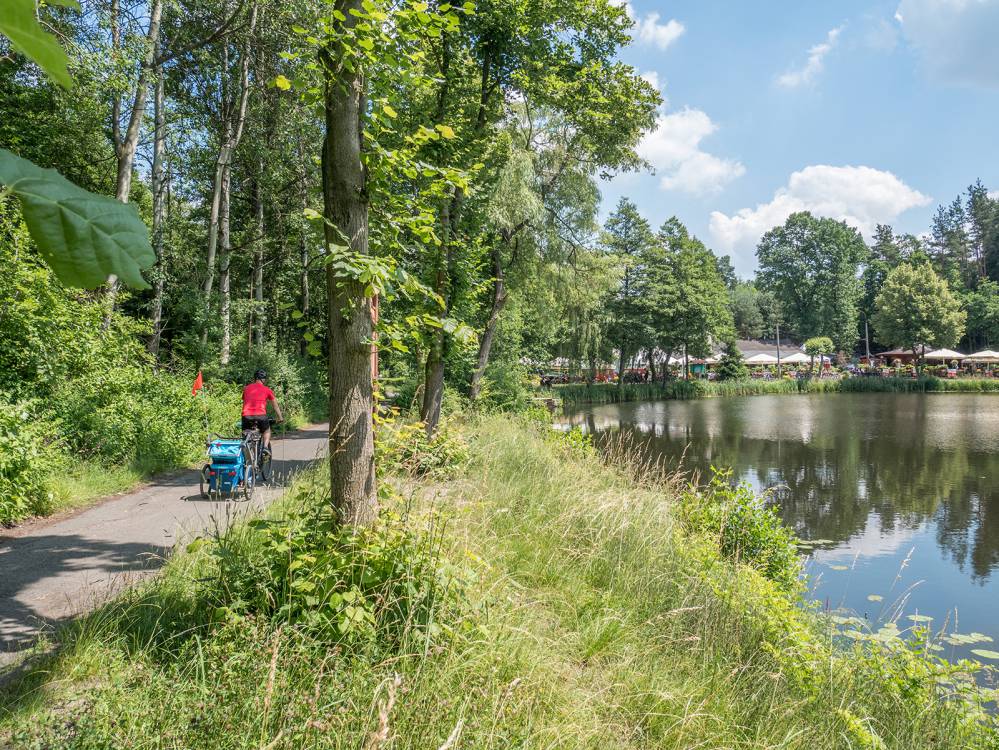 Rowerem z dzieckiem przez Lasy Murckowskie i Dolinę Trzech Stawów
