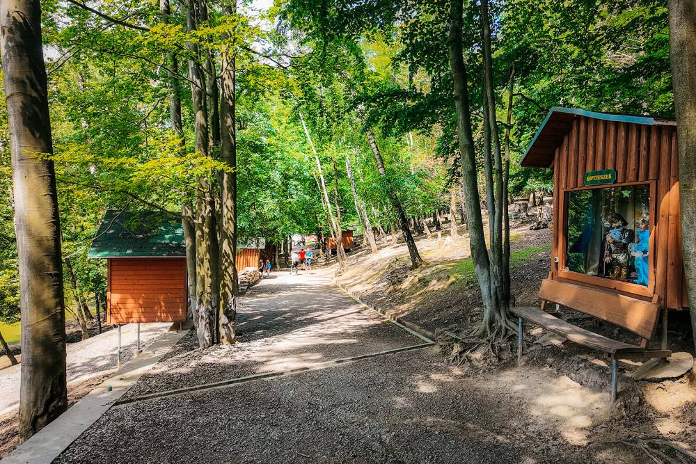 Leśny Park Niespodzianek w Ustroniu