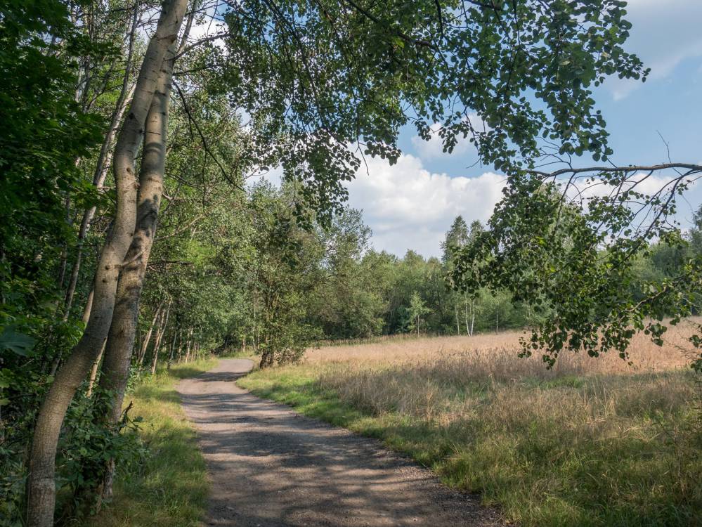 Ż&oacute;łty szlak rowerowy nr 5 w Katowicach