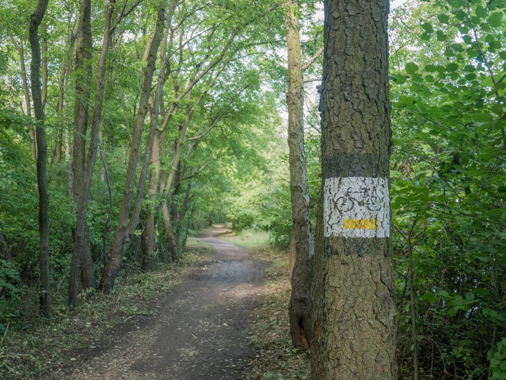 Ż&oacute;łty szlak rowerowy nr 16 - Gliwice - Ujazd