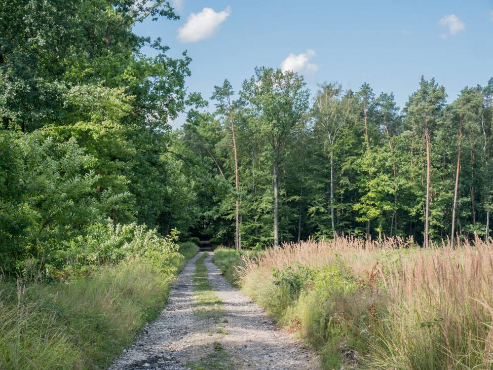 Ż&oacute;łty szlak rowerowy nr 16 - Gliwice - Ujazd