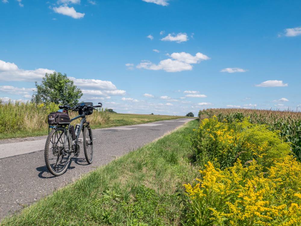 Czarny szlak rowerowy nr 30 Toszek - Pławniowice
