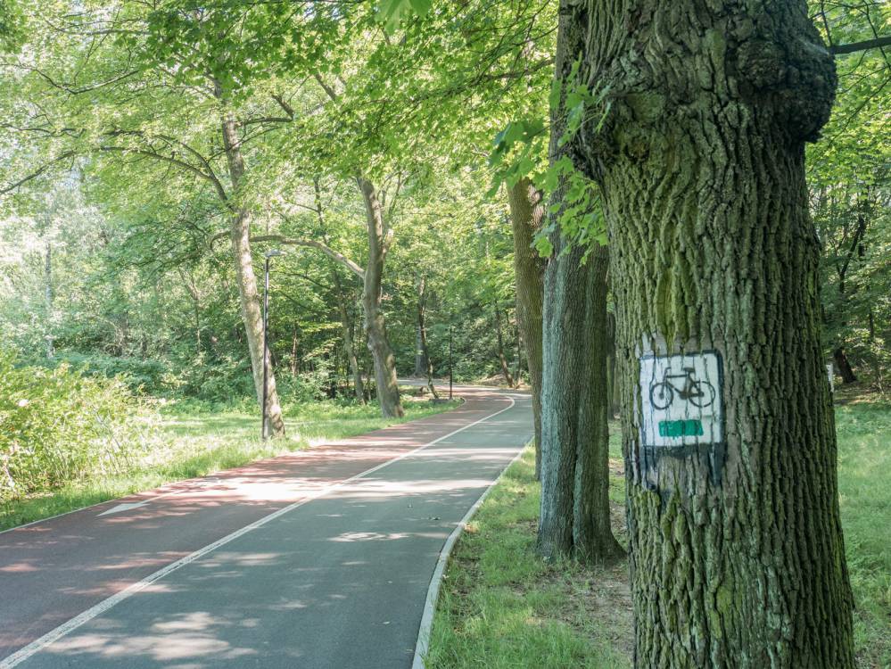 Zielony szlak rowerowy nr 7 w Mysłowicach