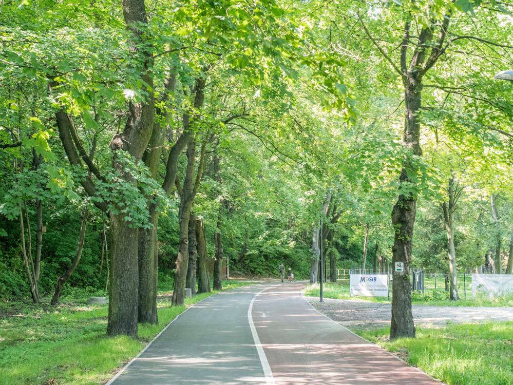 Zielony szlak rowerowy nr 7 w Mysłowicach