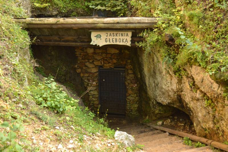 Jaskinia Głęboka - Rezerwat G&oacute;ra ZBor&oacute;w fot. Rafał Rębisz