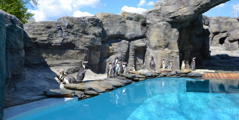 Śląskie atrakcje dla dużych i małych dzieci