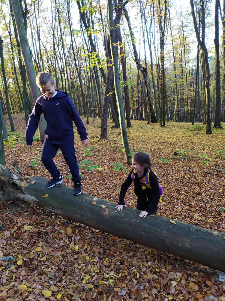 Najciekawsze atrakcje dla dzieci