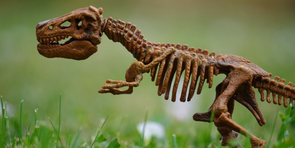 Wyprawy przyrodnicze z dziećmi