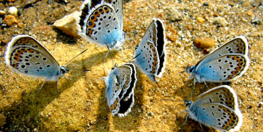 Wyprawy przyrodnicze z dziećmi