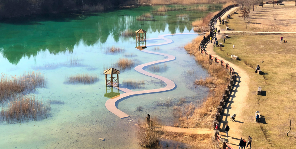 Wyprawy przyrodnicze z dziećmi 