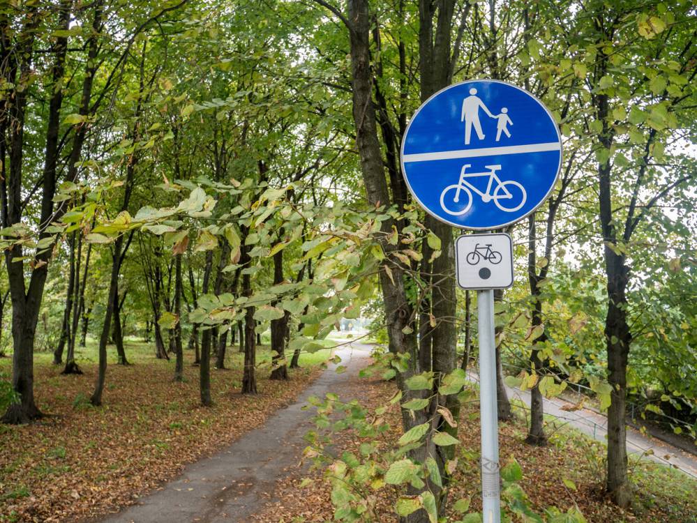 Czarny szlak rowerowy wzdłuż Czarnej Przemszy w Będzinie 