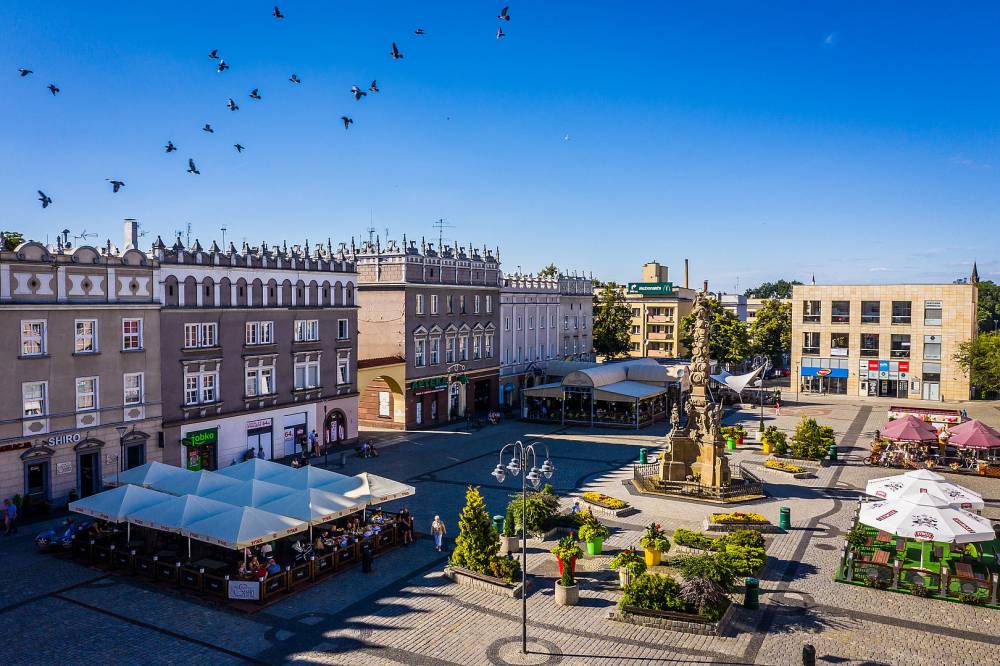 Zielona oaza w sercu Śląska - Kraina Górnej Odry