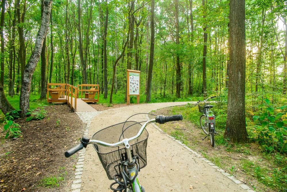 Najciekawsze szlaki rowerowe w województwie śląskim