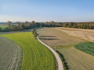 ŚCIEŻKA PRZYRODNICZA "MEANDRY RZEKI ODRY'