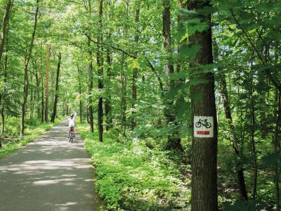 SPACER DOLINĄ TRZECH STAWÓW 