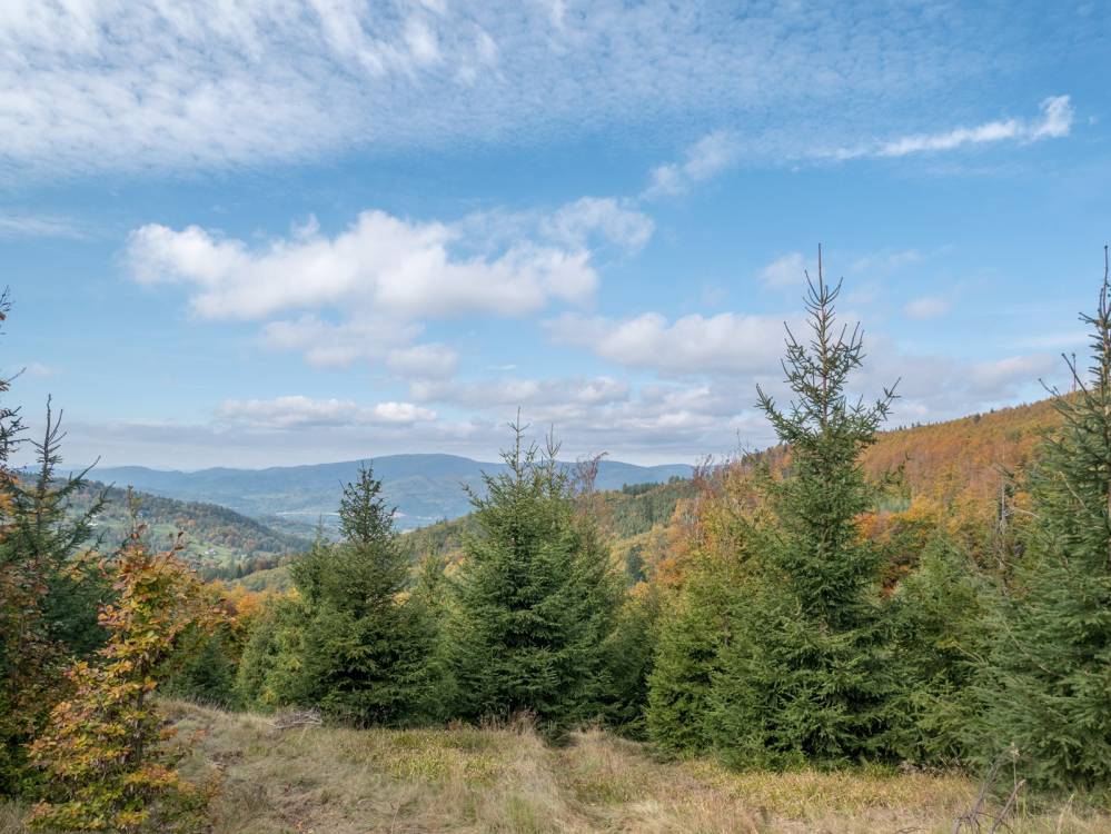 Czarny szlak rowerowy w Węgierskiej G&oacute;rce