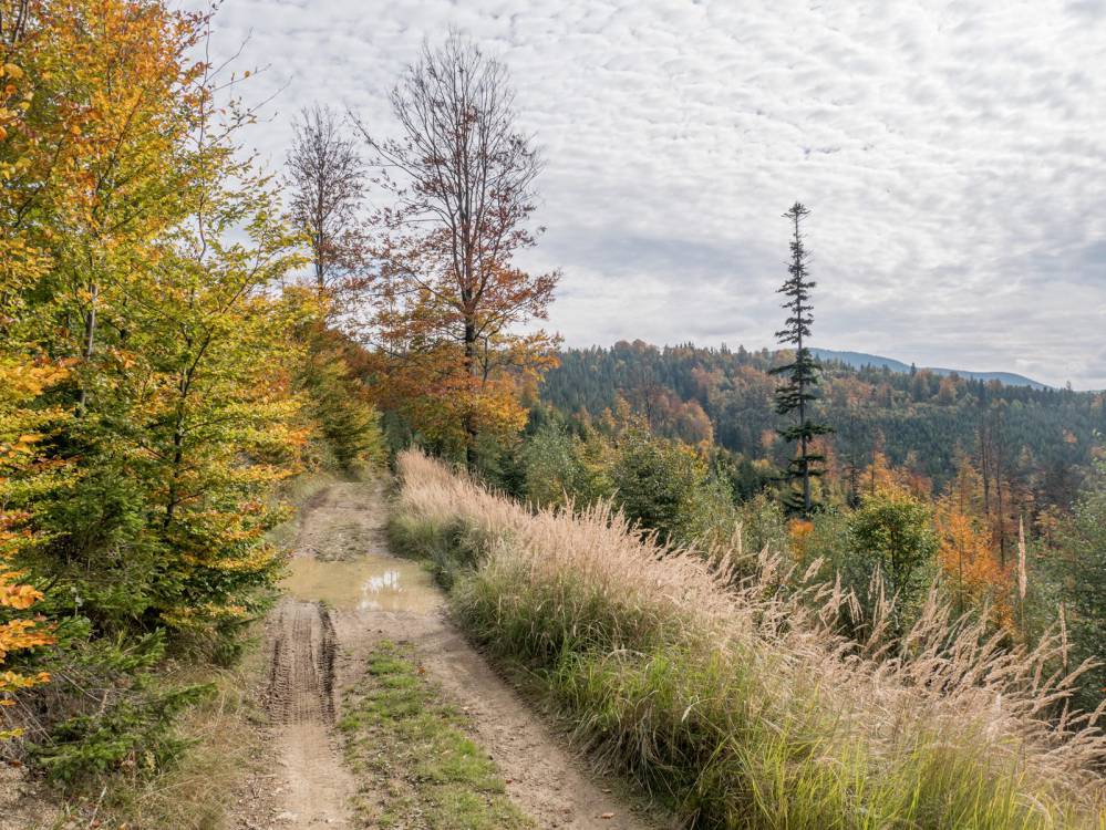 Czarny szlak rowerowy w Węgierskiej G&oacute;rce